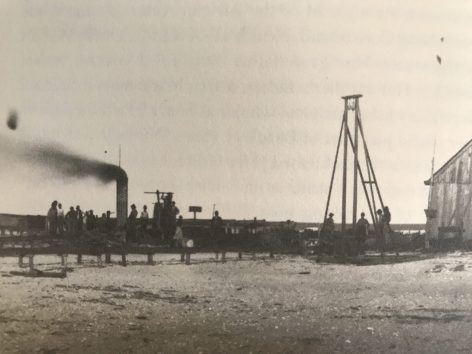 A menhaden scrap and oil factory near Beaufort, N.C., ca. 1880-1900. A menhaden factory at Davis Ridge probably resembled this rather unimposing complex. Courtesy, State Archives of North Carolina