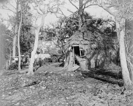 Another of the round, thatched camps that fishermen built on the North Carolina coast. This one was 35 miles NW of Davis Ridge, on the Neuse River, ca. 1900. Courtesy, State Archives of North Carolina