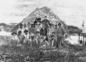 A mullet camp on Shackleford Banks, N.C., ca. 1880.