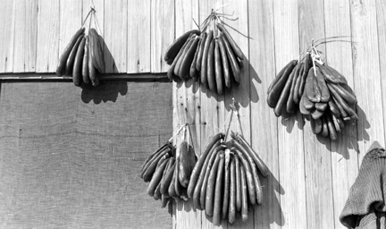 Mullet Roe drying in the sun, Brown's Island, N.C.