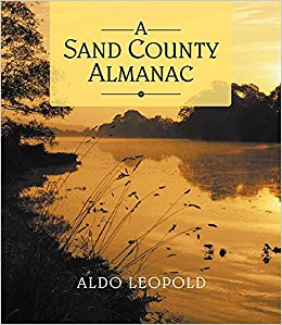 Aldo Leopold (1887-1948) was a scientist, philosopher and environmentalist at the University of Wisconsin. He is best remembered for A Sand County Almanac, a best-selling and highly influential book of essays on the land around his home in Sauk County, Wis. 