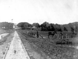 Farm laborers, rice fields and the main house at Orton plantation, ca. 1900.