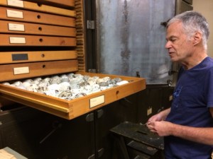 Dr. David Willard, Field Museum.