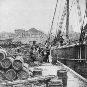 Turpentine barrels being loaded on a German ship in Wilmington, N.C. in the early 1870s. 