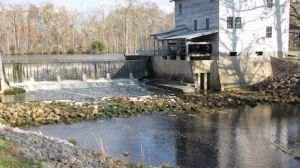 Brock mill house and pond, Hwy. 58 South, Trenton, N.C.