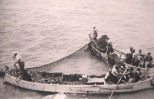 Menhaden fishermen at work, probably in the 1930s. Courtesy, Steve Goodwin, Beaufort, N.C.
