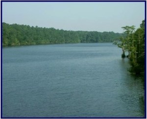 Chowan River from the Hwy. 13 bridge at Winton, N.C. 