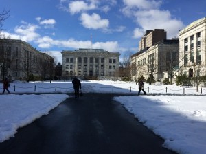 I found one of the 2 accounts of the burning of Hamilton, N.C. at Harvard Medical School in Boston.