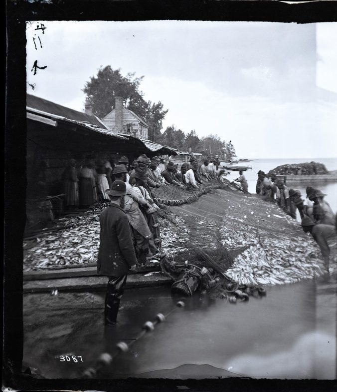 Courtesy, Smithsonian Institution Archives