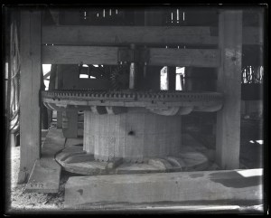 One of the two steam-powered capstans at Avoca in 1877. At the time, the fishery used both steam power and horses to haul in the great miles-long seine. Courtesy, Smithsonian Institution Archives 