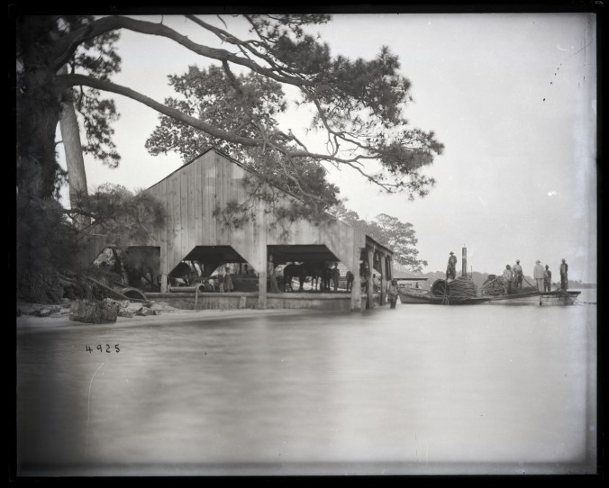 Courtesy, Smithsonian Institution Archives