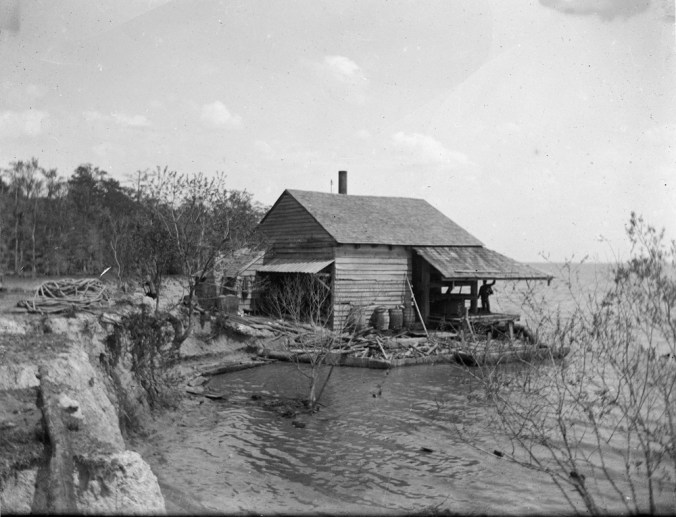 Courtesy, North Carolina Collection, UNC Library University of North Carolina at Chapel Hill