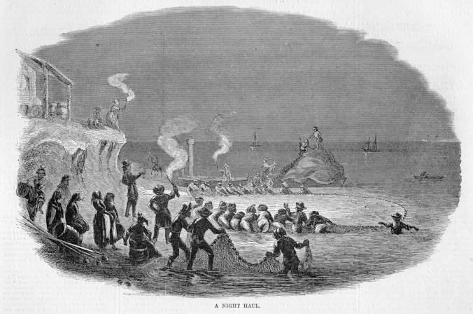 We may not have nighttime photographs of Albemarle Sound seine fisheries, but we do have this etching, by David Hunter Strother (a.k.a. "Porte Crayon") from Frank Leslie's Illustrated Newspaper, Sept. 28, 1861. This is probably the Belvidere fishery near Edenton, N.C. From Original Prints, Audiovisual Materials, Special Collections, State Archives of North Carolina