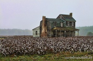 Though abandoned and in great disrepair, the Pendleton house, built in 1786, is one of the last of the 18th-century structures remaining in Nixonton.