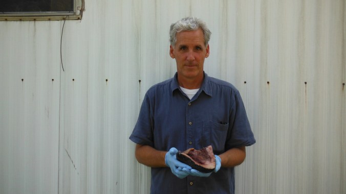 An intrepid historian holding a bottlenose dolphin jawbone, Beaufort, N.C