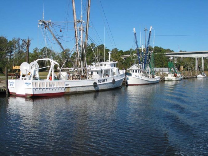 Shrimp trawlers docked on the Intracoastal Waterway at Goose Creek Island. In the distance, you can see the new high-rise bridge that connects the island with the mainland of Pamlico County. Courtesy, Dan Allen