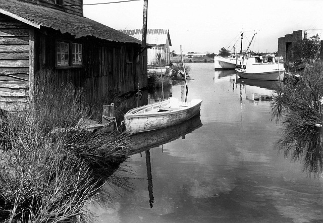 A typical Hyde County scene-- Far Creek, in Engelhard, 1976. By Rick Doble