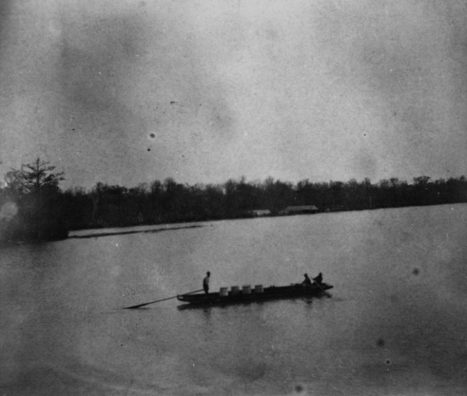 Fishermen guide a flatboat down the Roanoke River, below Plymouth, N.C., ca. 1875-1905. They are carrying barrels of salt herring. From NOAA Historic Fisheries Photograph Collection. Courtesy, National Archives