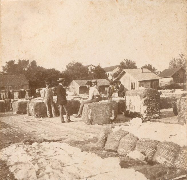 A cotton yard, Tarboro, N.C. Under this photograph, Lena Martin wrote "Our source of wealth." Courtesy, Edgecombe County Memorial Library