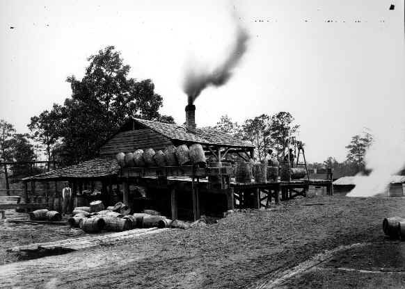 Turpentine distillery, Mobile, Alabama, 1895. Courtesy, Doy Leale McCall Rare Book and Manuscript Library, U. of South Alabama