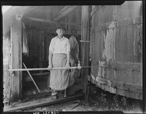 A turpentine "stiller" near Valdosta, Georgia. Courtesy, Library of Congress