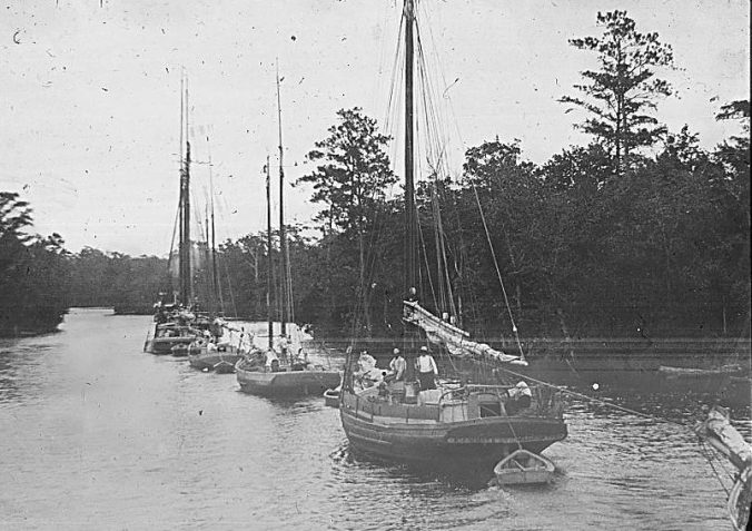 A steam tug, unseen, tows a line of wooden sailing vessels, probably freight carriers, on the Albemarle & Chesapeake Canal, 1901. Image by Albert Ross, USN. Courtesy, Linda Garey 