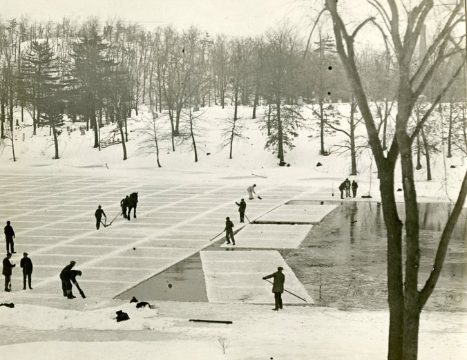 Harvesting ice in Maine, 1925. Courtesy, The Boston Globe