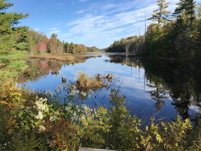 Appalachee Pond, Lobster Cove Meadow Preserve, Boothbay Harbor, Maine. Photo by David Cecelski
