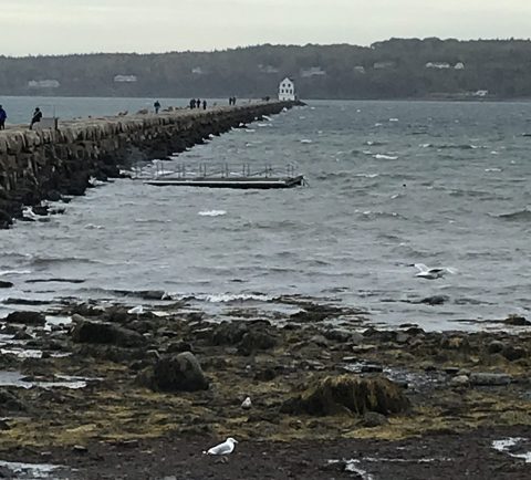 One of the places we visited today was the Rockland Harbor Breakwater Light on the west side of Penobscot Bay in Rockland, Maine. Extending 7/8 of mile, the breakwater was between 1880 and 1890 and is made up of approximately 700,000 tons of locally quarried granite. The lighthouse was built in 1902. Photo by David Cecelski