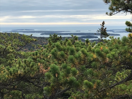 View of Cranberry Islands from Norumbega Mountain, Mt. Desert Island, Maine. Photo by David Cecelski