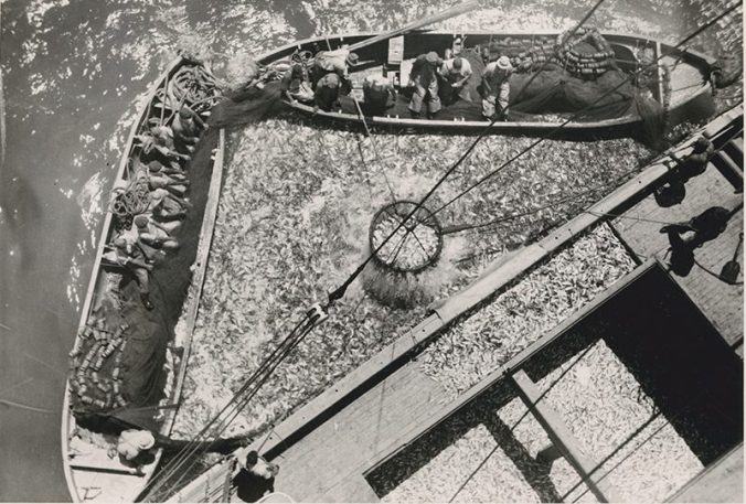 Photo by Bill Sharpe. Courtesy of the Penobscot Marine Museum