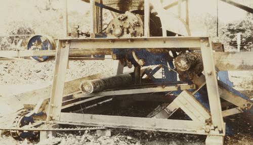 Courtesy, Forest History Society