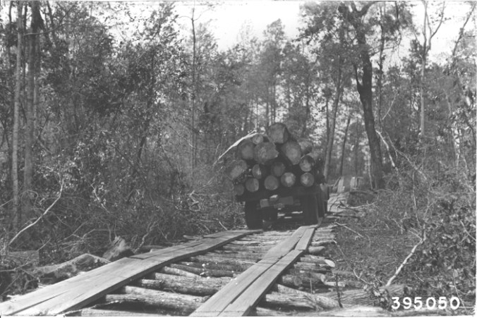 Photo by Walter H. Schaffer. Courtesy, Forest History Society