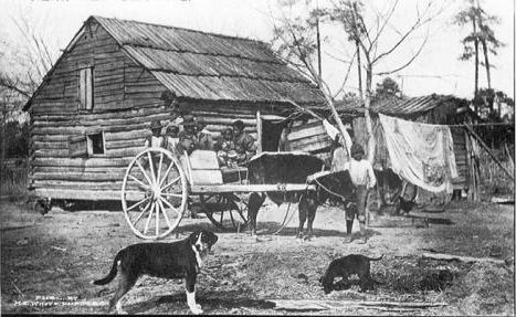  Detail from a postcard. Courtesy, Forest History Society