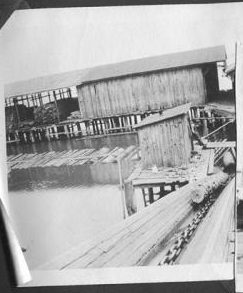 Courtesy, Forest History Society