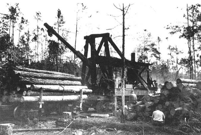 Courtesy, Forest History Society