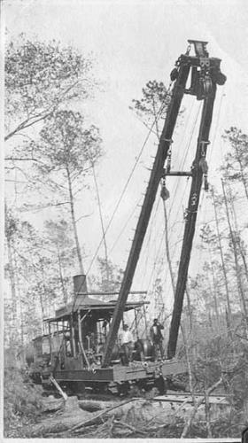 Photo by Jonathan Keith Esser. Courtesy, Forest History Society.