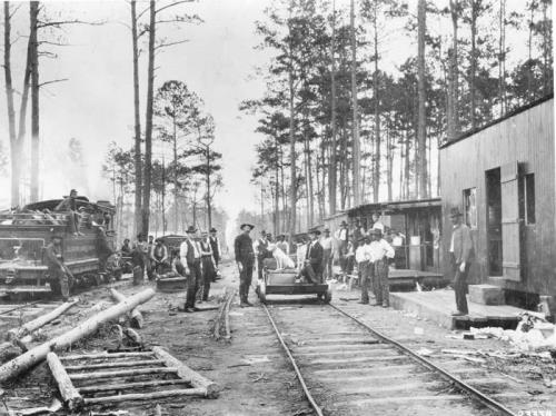 Dinner time at a lumber camp in Jones County, N.C., 1901. Hundreds of such logging camps—some more humble and ramshackle than this one, others a bit more homey—were built on North Carolina’s coastal plain in the late 1800s and early 1900s. Courtesy, Forest History Society