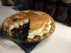 My daughter Vera's grape hull pie. My great-grandmother's grape hull recipe lives on. Photo by David Cecelski