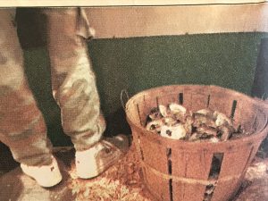 Shucker Floyd Spruill's pile of shells, Sunny Side Oyster Bar, Williamston, N.C. Photo by Roger Winstead. Courtesy, News & Observer. 