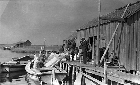 Men heaving a block of ice onto or off of a shad boat at the Globe Fish Company's outposts on Roanoke Island, ca. 1935-40. Photo by Charles A. Farrell. Courtesy, State Archives of North Carolina