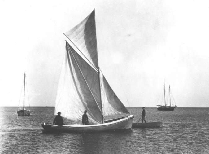 A shad boat flying its goose wing. Courtesy, Smithsonian Institution