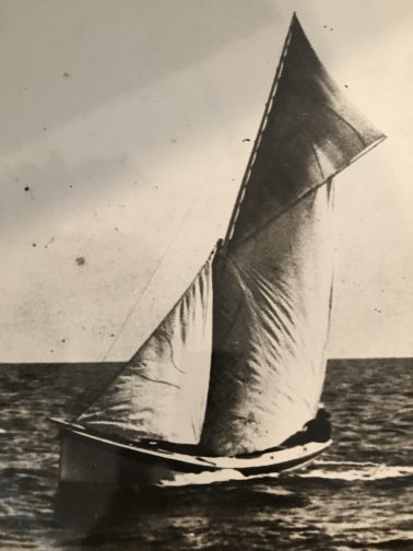 Shad boat flying its goose wing on Albemarle Sound ca. 1900. Courtesy, State Archives of North Carolina