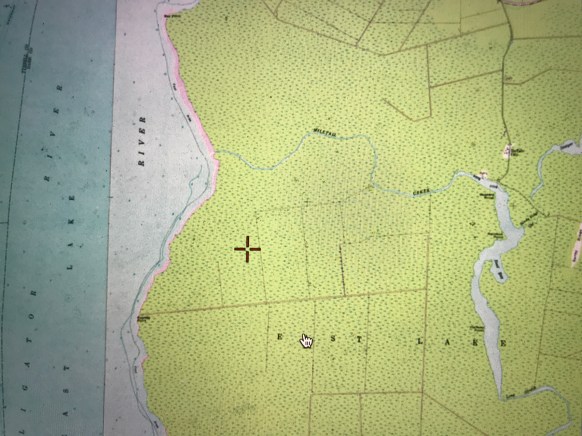 USGS topo map featuring the western end of Mill Tail Creek as it flows into the Alligator River in Dare County, N.C. The shaded area indicates wetlands. Mill Tail Creek was probably the single most important source of juniper (Atlantic white cedar) for boat building anywhere on the NC coast.
