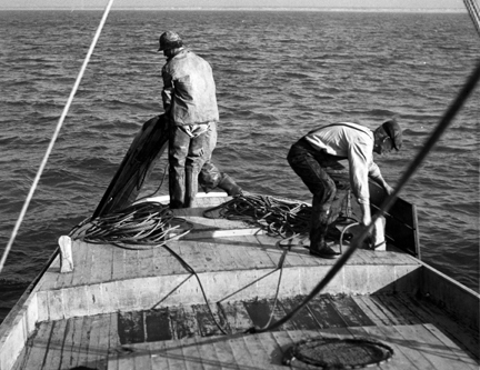 Photo by Charles Farrell. Courtesy, State Archives of North Carolina