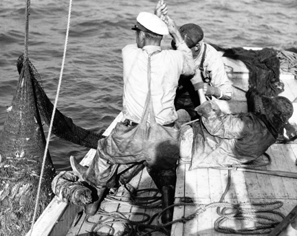 Photo by Charles Farrell. Courtesy, State Archives of North Carolina