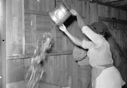 Photo by Charles Farrell. Courtesy, State Archives of North Carolina