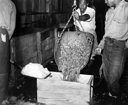 Photo by Charles Farrell. Courtesy, State Archives of North Carolina