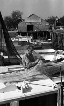 Photo by Charles Farrell. Courtesy, State Archives of North Carolina