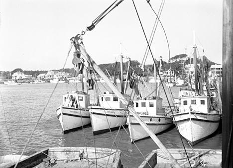 Part of the Wells' brothers shrimp fleet, Southport, N.C., 1938. Photo by Charles Farrell. Courtesy, State Archives of North Carolina.